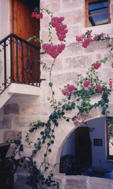 "Steves Villas" Villa Ta Rosi Xagħra Εξωτερικό φωτογραφία